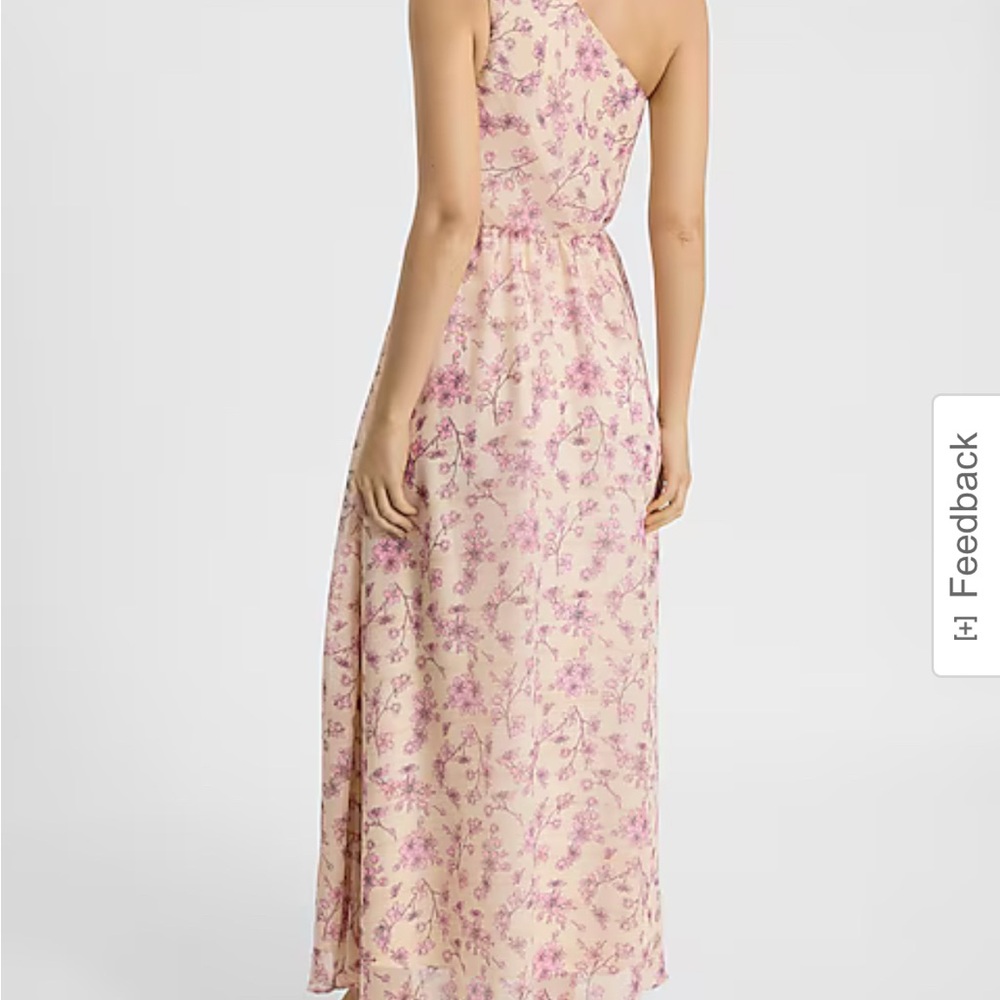 Express Pink and Cream Floral Maxi Dress